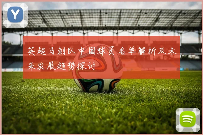 英超马刺队中国球员名单解析及未来发展趋势探讨