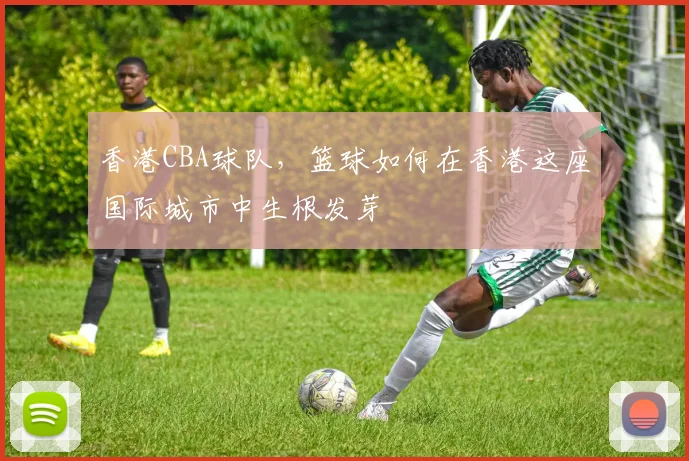 香港CBA球队,篮球如何在香港这座国际城市中生根发芽