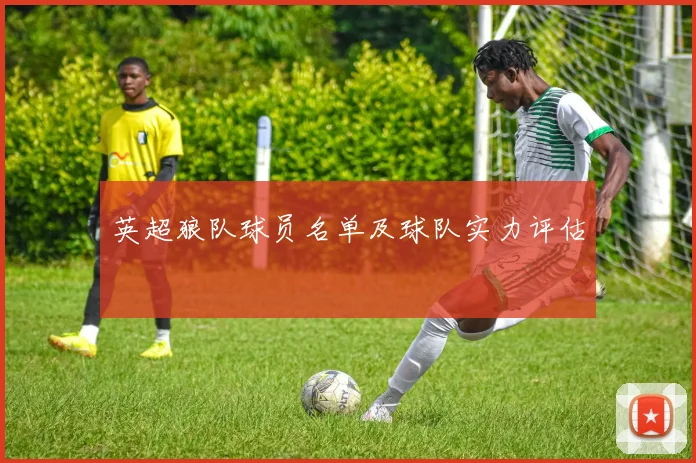 英超狼队球员名单及球队实力评估